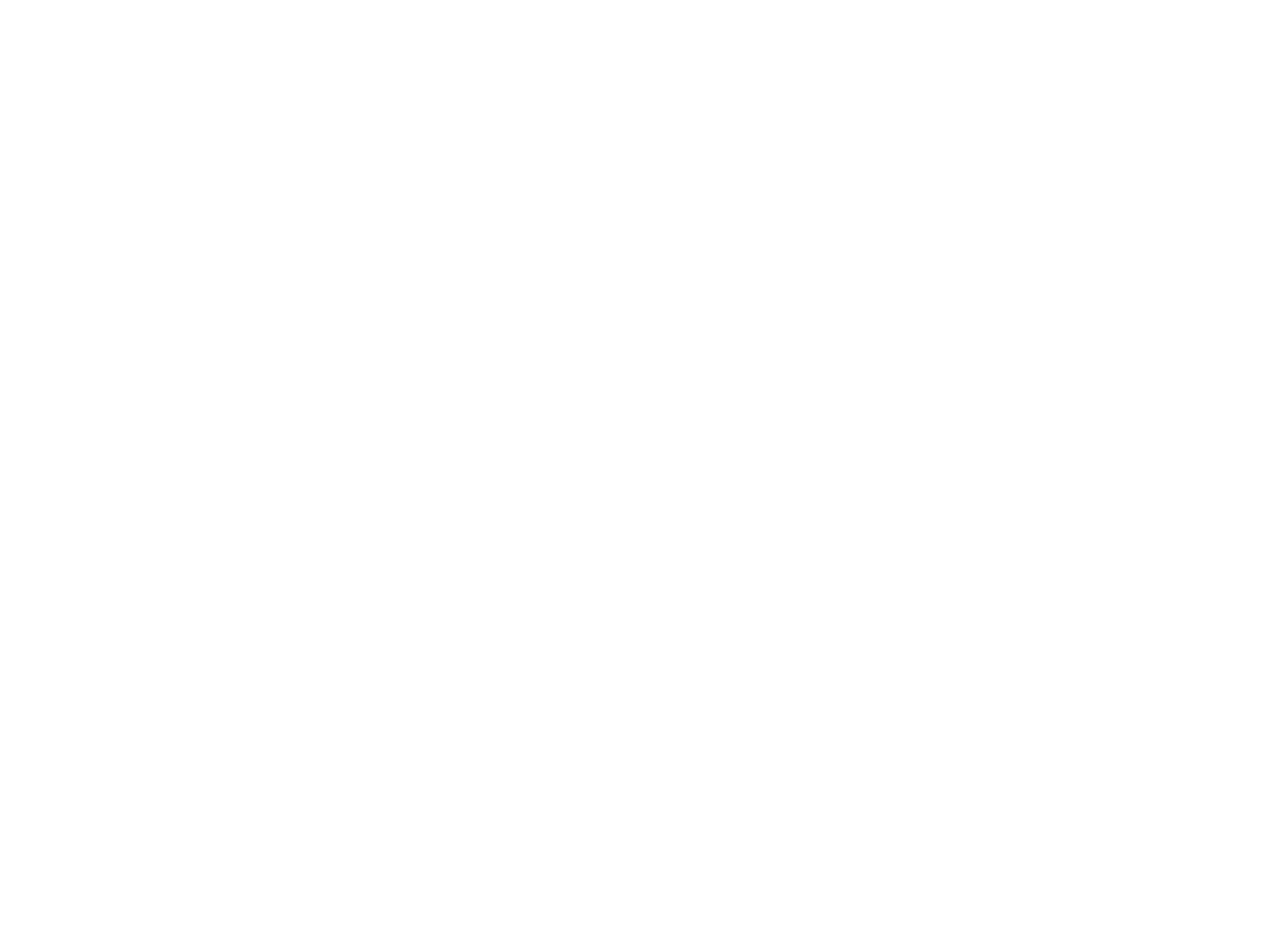 logo-DH-timmerwerken-wit